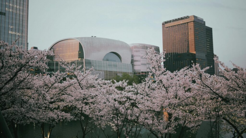 Ethiopia TikTok Bloggers 2025 እንዴት የሚካሄዱ እና እንዴት ሚያደርጉ በስዊዘርላንድ ማስታወቂያ ተባባሪዎች