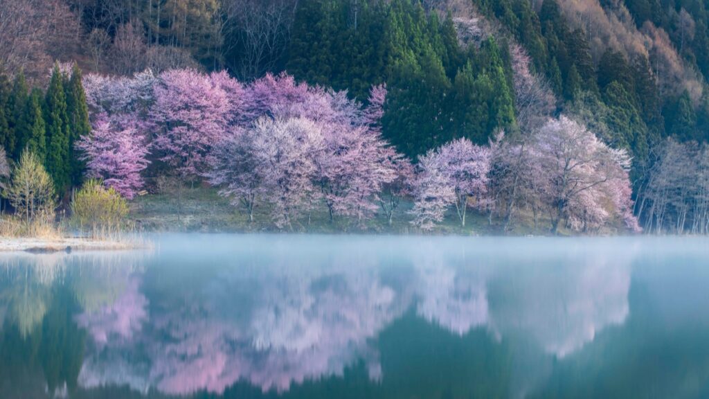 How Ethiopia Snapchat bloggers can collaborate with Kenya advertisers in 2025