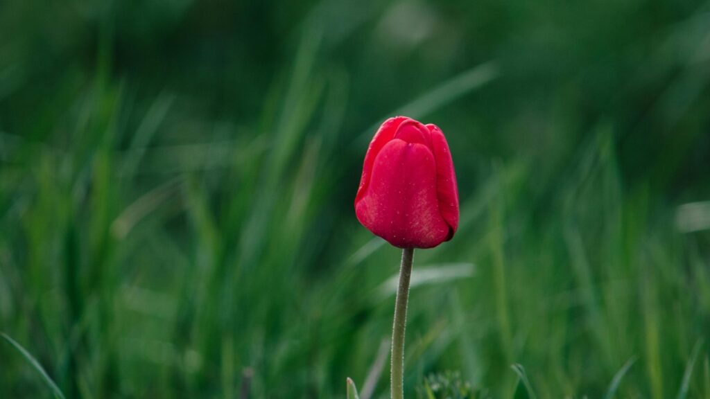 በ2025 ዓመት ኢትዮጵያ LinkedIn ባለሙያዎች ከደቡብ አፍሪካ ማስታወቂያ ተቀራራቢዎች ምን ማድረግ እንችላለን