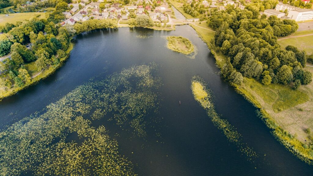 Ethiopia Instagram Bloggers 2025 ከ Israel ማስታወቂያ እንዴት ማቀፍ ይችላሉ