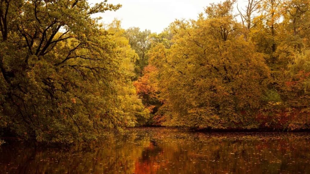 2025 ישראל אינסטגרם כלקטגוריה פרסום מחירי כרטיס בישראל