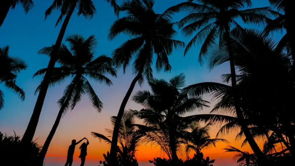 እንዴት ኢትዮጵያዊ ባለሞያዎች በXiaohongshu ብራዚል ገበያ ላይ ልዩ እና ተለዋዋጭ PR ፓኬጅ ሊላኩ እንደሚችሉ ያሳያል።