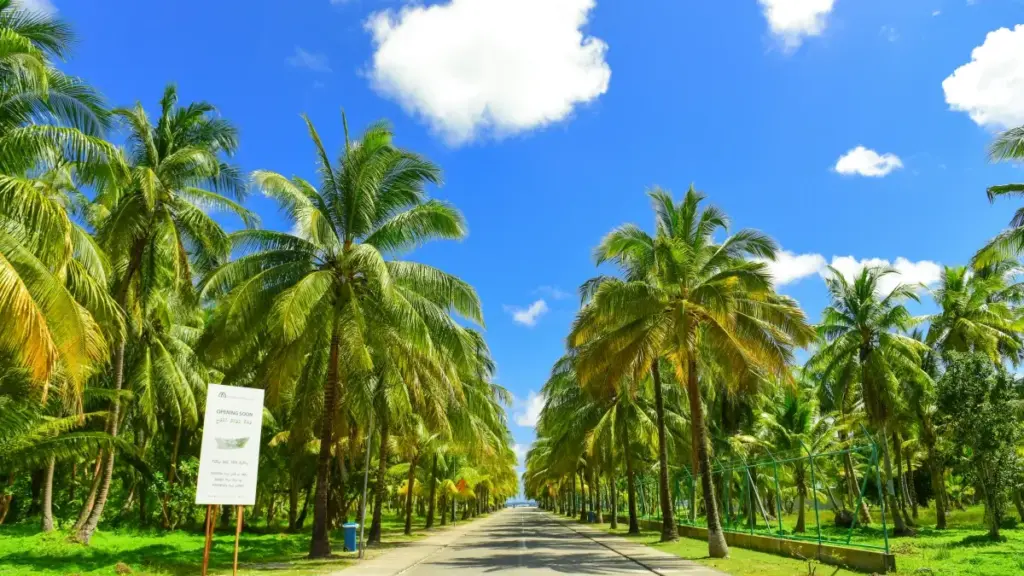 ኢትዮጵያ ፍራንቻዎች በOnlyFans አውስትሪያ ፕላትፎርም በፍጥነት እንዴት ማስተዋወቅ እና ማስተዋቂያ ማድረግ እንደሚቻል ያሳያል።