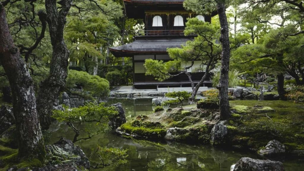 ኢትዮጵያ ክሪኤተሮች ከThreads እና Kazakhstan ኢንፍሉዌንሰር ስልጠና ስርጭት ተካትተው እንዴት እንደሚያደርጉ እና የተለያዩ ጥቅሞች ስለሚኖሩባቸው ያሳያል።