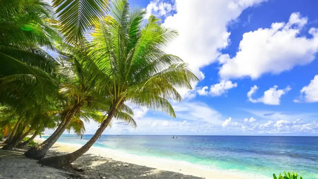 Discover how Ethiopian creators can leverage VKontakte and Belgium trends to mention brands in stories effectively.