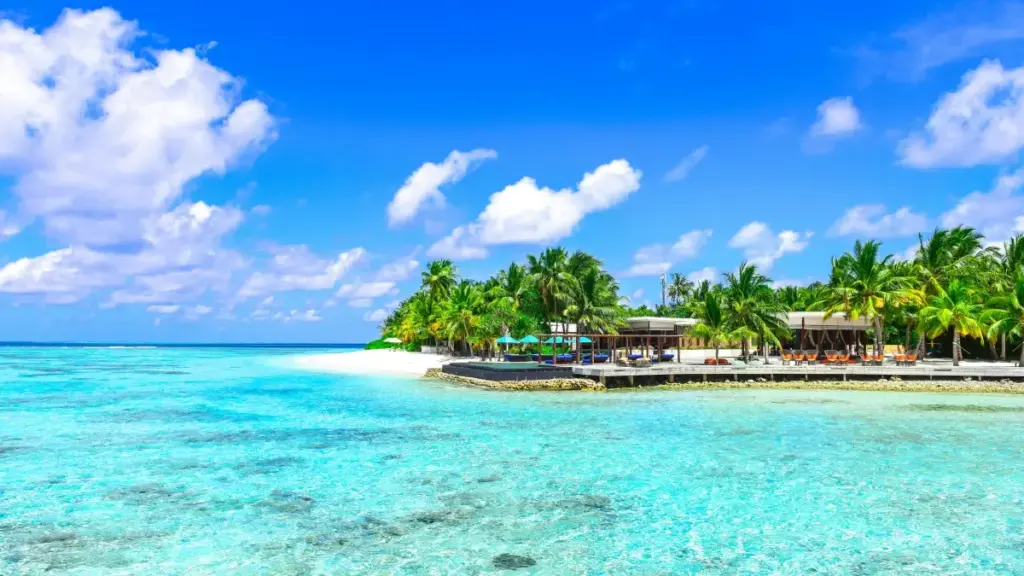 ቪበር በጀርመን እና ኢትዮጵያ የክሪኤተር የቀላል እና ማስተካከያ የቪዲዮ እንቅስቃሴ አንደኛ ተመን እና ማስተላለፊያዎች ያሉበት ስፍራ ነው።