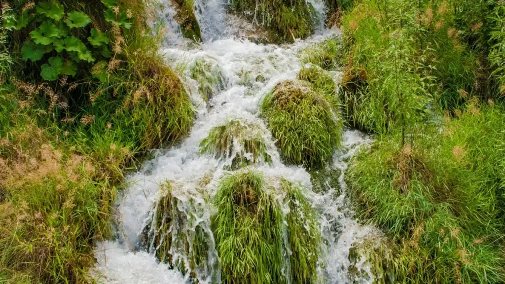 A practical guide for Ethiopian creators to find and pitch Bangladesh brands on taobao for sponsored game streams.