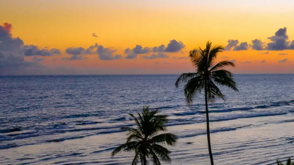 ኢትዮጵያ አማራጮች ስሪ ላንካ ዩቱቡብ ክሪየተሮችን ለአዲስ ምርቶች ማስተዋወቅ እንዴት እንደሚያግዙ በተለያዩ መንገዶች ተመልከቱ።