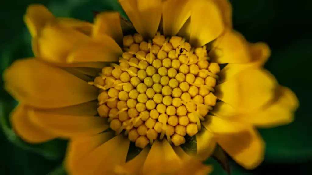 ኢትዮጵያ ለኩዌት ኢቤይ ክሪየተሮች የውበት ብሎገሮች ምርት ማቅረብ እንዴት እንደሚቻል ሙሉ መመሪያ።