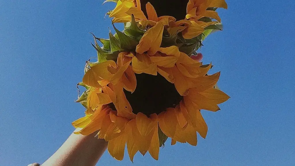 ኢትዮጵያ ፈጣሪዎች በSoundCloud ታንዛኒያ ብራንዶችን ለምርቶቻቸው ጥቅሞች በቀላሉ እንዴት ማሳያ እንደሚችሉ ያሳያል።