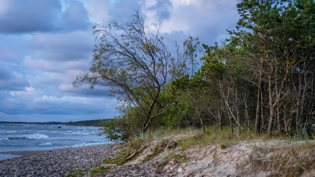 ኢትዮጵያ አማራጮች ለመሸጥ የደቡብ አፍሪካ ዲዝኒ ፕላስ ፍራንሻ ክሪየተሮችን እንዴት እንደሚያገኙ በቀላሉ ያስተምራል።