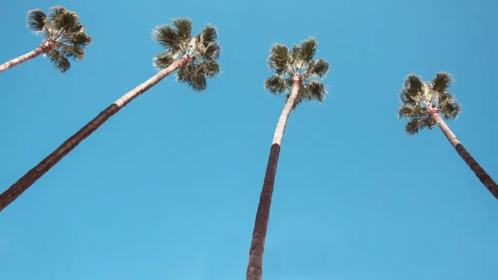 "እንዴት ኢስቶኒያ ላሉ ስታይል ፍለጋ የሚያደርጉ Xiaohongshu ፈጣን ፕሮሰሰሶች፣ የዋጋ ገጽታ እና እርምጃ መለኪያዎች በኢትዮጵያ አገልጋይ እንዴት እንደሚረዱ።"