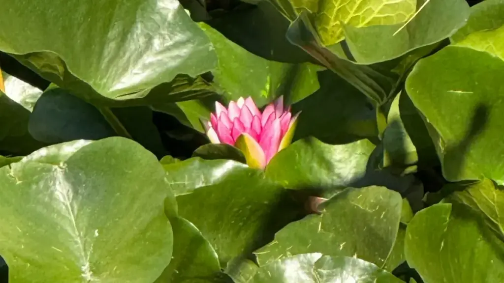 ለኢትዮጵያ ማስታወቂያዎች፣ የጃፓን Snapchat ክሪይተሮችን ለBehind‑the‑Scenes ስፖንሰርሺፕ እንዴት እንደሚገኙ ቀላል መመሪያ፣ AR እና ሞኔታይዜሽን ምክርዎች ጋር።