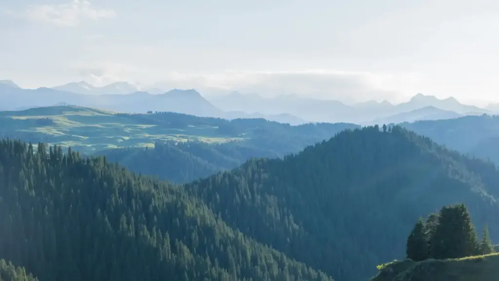 እርስዎ ከኢትዮጵያ የሚሆኑ ባለሸጋጋሪዎች ለእውታዊ ክስተቶች ከኬንያ ላይ በViber የሚሰሩ ክሪየተሮችን እንዴት እንደሚገናኙ በቀላሉ እና በሥራ ላይ የሚያስተዋውቁ መምሪያ።