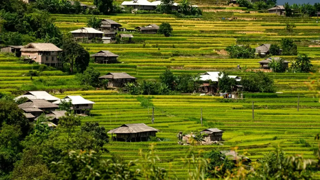 ለኢትዮጵያ ማስታወቂያ ኩባንያዎች — ከስፔን በፈስቡክ የሚሰሩ ሚድ-ቲየር ፍራንሽ አርቲስቶችን ለረጅም ጊዜ እና እድገት ግንኙነት እንዴት እንደሚፈልጉ ማጠቃለያ።