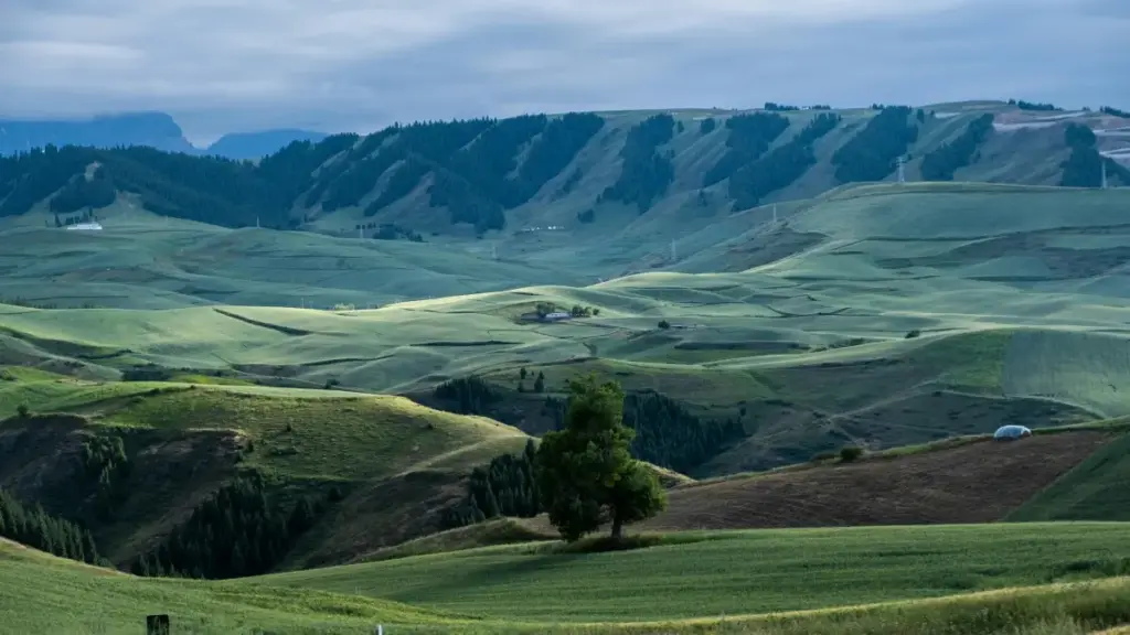 ይህ መረጃ ለኢትዮጵያ ማስታወቂያ ባለሙያዎች ነው። አይቮሪኮስት ላይ Taobao እና ሌሎች ፕላትፎርሞች ላይ የሚሰሩ ክሪየተሮችን ለማግኘት የሚያስፈልጉ እርምጃዎች፣ ስርዓቶች፣ እና ምክሮች በአማርኛ።