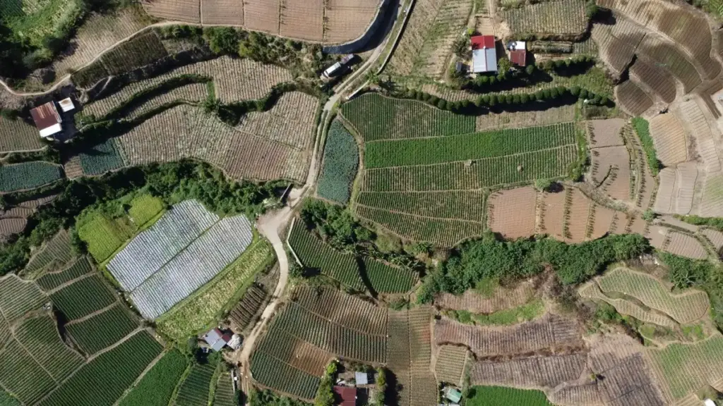 "እርስዎ እንዴት በViber የኩዌት ብራንዶችን ያገናኙ እና ለፈንስዎ የቀጣይ ይዘት እንዴት እንደሚፈጥር ቀላል መመሪያ።"