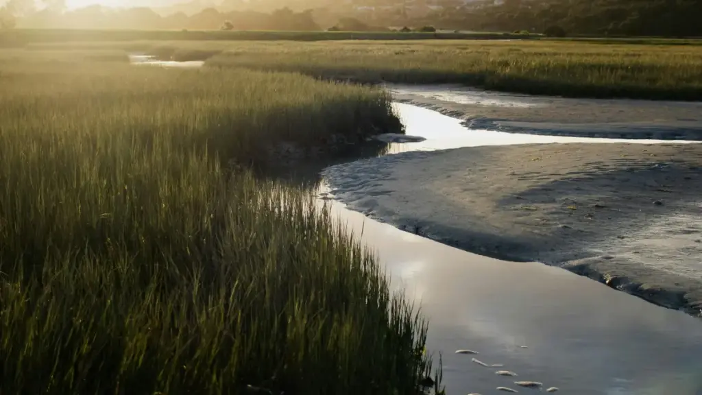 ከሞሮኮ ፒንተረስት ፍጥረቶች ጋር እንዴት ለምርት መስመር በላይ ፍጥረቶች ተባብረው ለማድረግ እንደሚቻል ለኢትዮጵያ ማስታወቂያዎች ምክር።