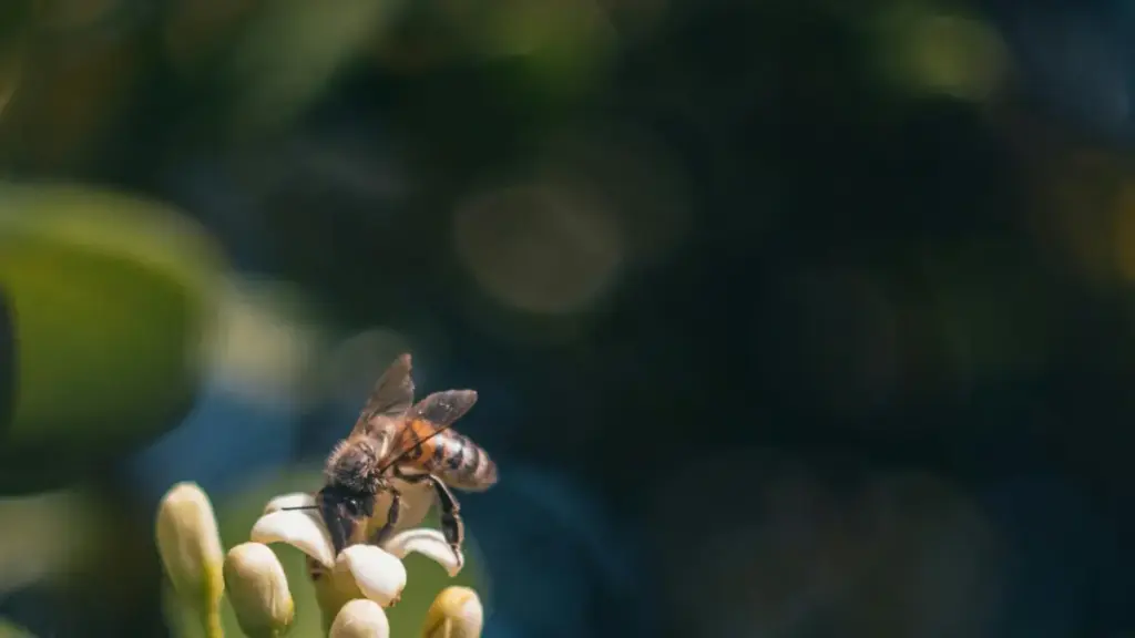 እርስዎ እንደ ኢትዮጵያ የማርኬቲንግ ባለሙያ ፣ ፖርቱጋል ላይ ለሜክአፕ ቶርዮራል የTikTok ፈጣሪዎችን እንዴት እንደሚያገኙ ምክሮች፣ መንገዶች እና ማስመዝገቦች የተለያዩ ምርመራዎች እና ሥራ አስፈፃሚ መረጃዎች ይዟል።