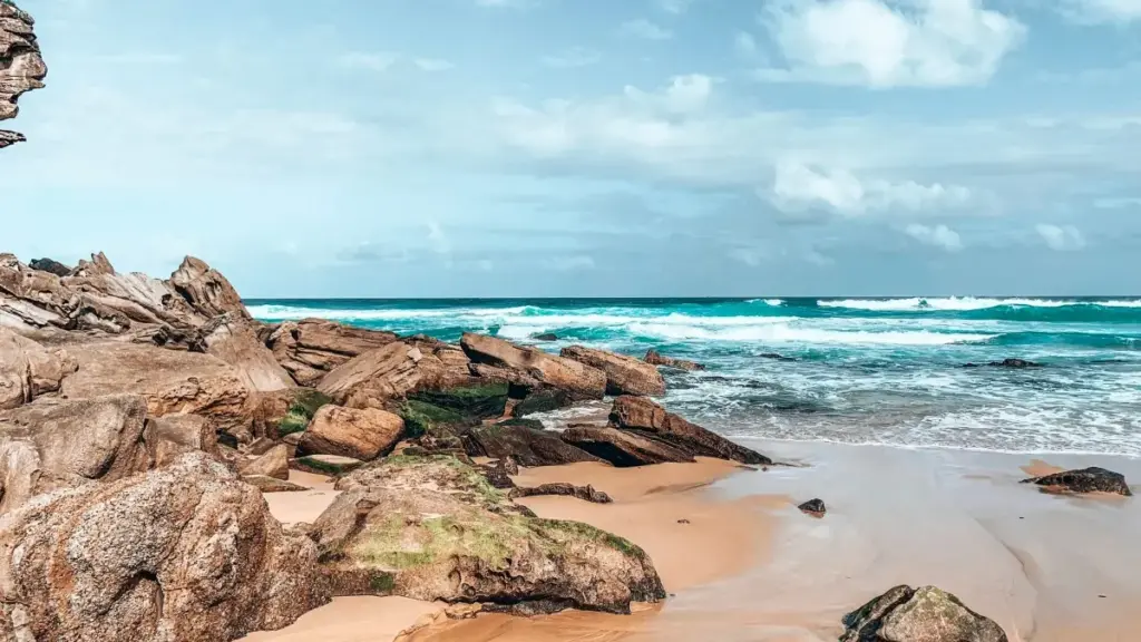 እንዴት ከኢትዮጵያ ፈጣሪ እና ከTakatak ላይ ስራ የሚያደርጉ አርቲስቶች ካናዳ ብራንዶችን ለፊቸር እንደሚያግኙ እና ምን ዘዴዎች ይሰራሉ በቀላሉ እና ተግባራዊ መመሪያዎች።