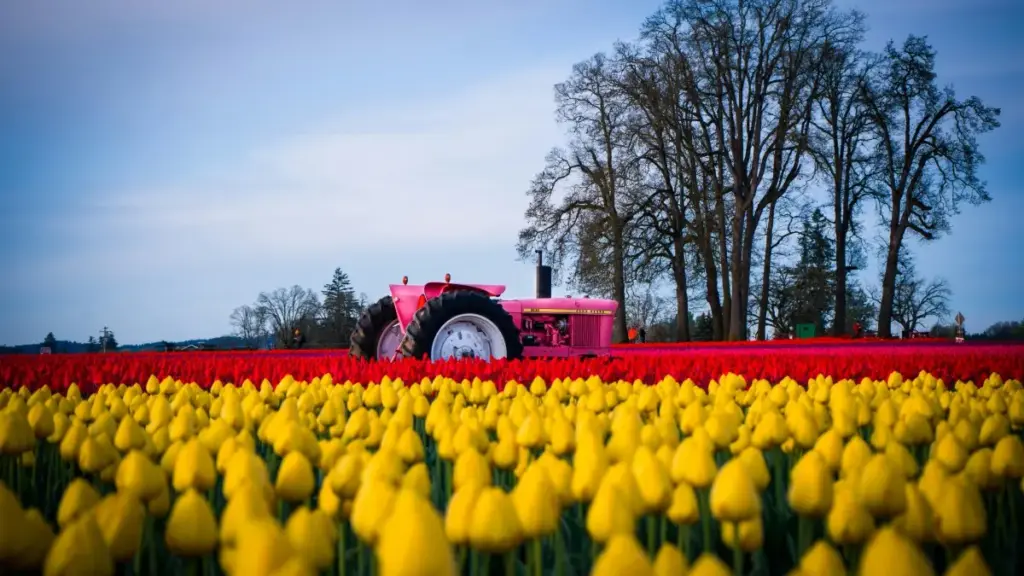 እንዴት ከBilibili ውስጥ ክሮዌሽያ ብራንዶችን በግልጽ CTA ማግኘትና ማስተካከል — ለኢትዮጵያ ፍላጎት የተመሰረተ መመሪያ።