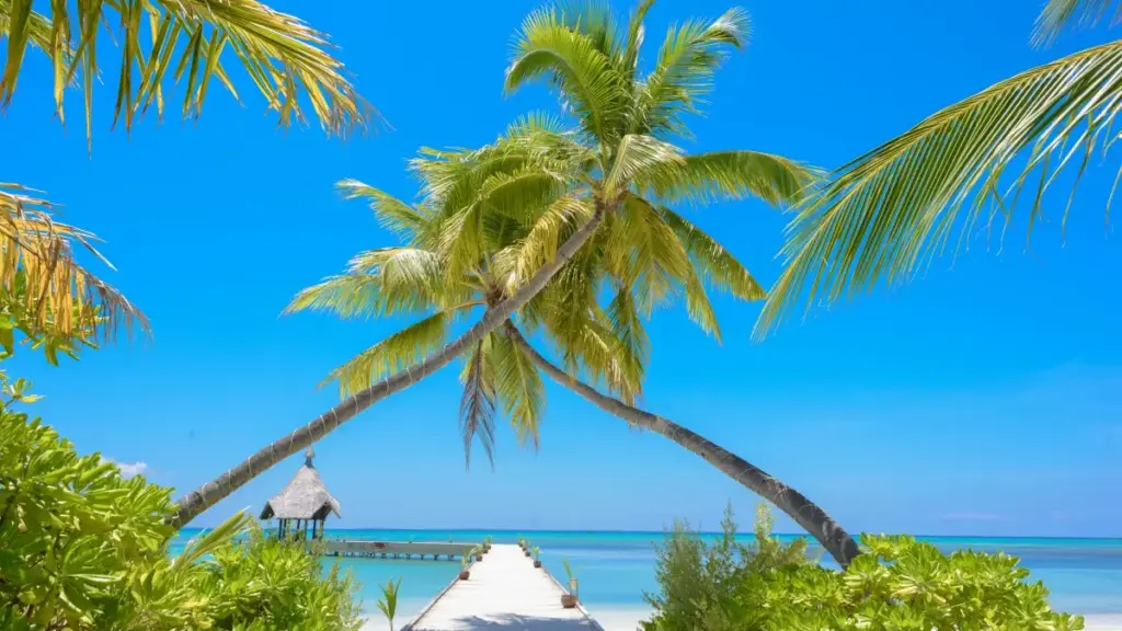 ኢትዮጵያዊ ፍሪያለርስ በYouTube ላይ በስፖንሰር መሣሪያዎች ጃፓን ብራንዶችን ለመደሰት ምን ማድረግ እንችላለን?