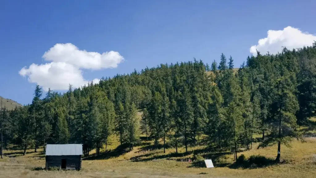 "ኢንፍሉንሰሮች እና የንግድ ባለሞያዎች ለXiaohongshu ላይ ኦማን ብራንዶችን እንዴት እንደምንገናኝ እና በጨዋታዎች ጥራት እንዴት እንደሚቀርብ ማስተላለፊያ ማስታወቂያ እርምጃዎች።"