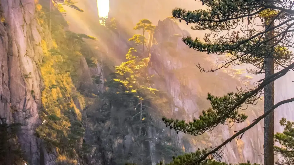 እንዴት በTwitch ላይ ፖርቱጋል ብራንዶችን ለመደወል እና ለማስተዋወቅ ማስተላለፊያ ማስተላለፊያ ማስታወቂያ ስርዓቶች እንደሚረዱ በርካታ ሀሳቦች።