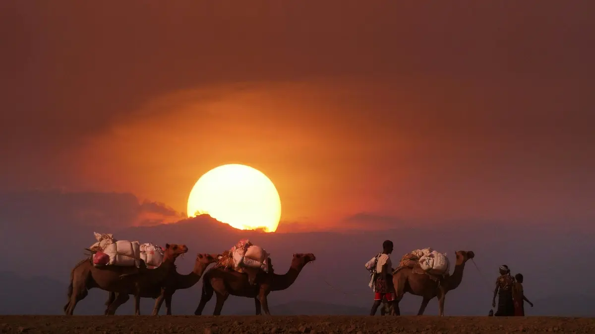 ኢትዮጵያ ፍራንችዎች በTakatak ላይ ለምርት መግቢያ ስለሚፈልጉ እንዴት ማድረስ እንችላለን?