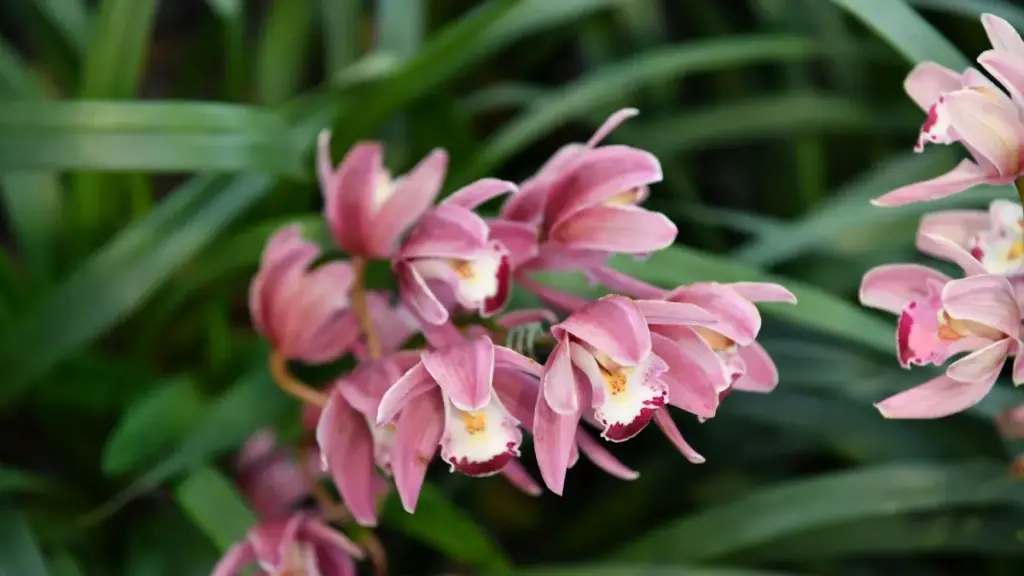 እንዴት እንደሚታወቀው ኢትዮጵያ ፍላጎት — Viber በመጠቀም UK ብራንዶችን ለምርጥ እቃዎች ማሳያ እንዴት መደርስ እንደሚቻል በርካታ ምክሮች