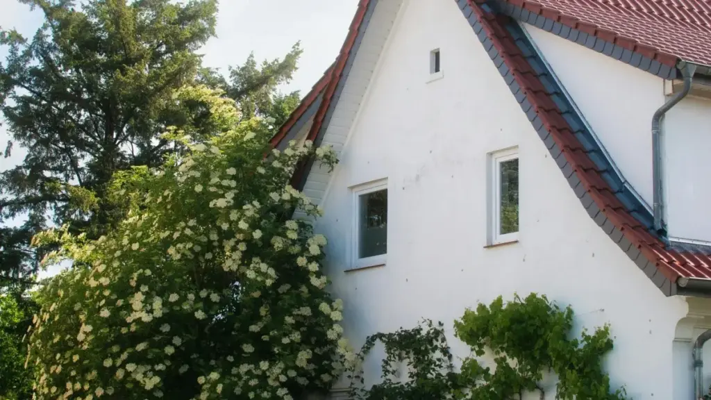 እንዴት ከዩክሬን የHBO Max ክሪኤተሮችን ለgiveaway ካምፔይኖች መከላከያ እና ማግኘት ማስተላለፊያ መረጃ — አጠቃላይ ደረጃ ምክርና ምክር በአማርኛ።