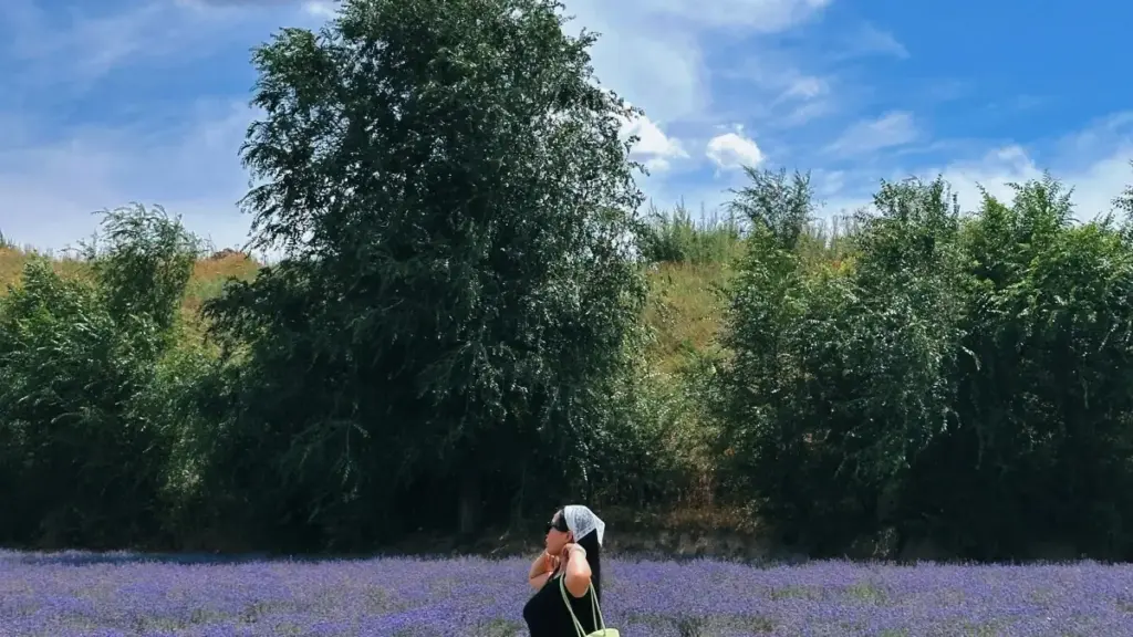 እርስዎ እንዴት በአሜሪካ ያሉ Chingari ፍራንስዎችን ለco-branded ምርት ዳሮፕ ትገናኛላችሁ፣ የምርመራ፣ እርዳታ እና ስርዓታዊ ምክሮች።