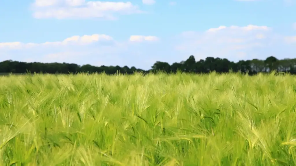 እንዴት ኦስትራሊያ ባለሙያዎችን (Etsy) በማግኘት የምርት እድገትን ለማሻሻል እንደሚቀርብ ምክር፣ ስራርእሶችና KPIs — ለኢትዮጵያ ማስታወቂያ ቡድኖች።