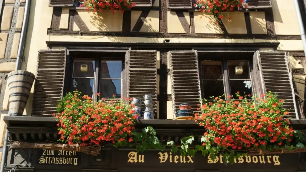 ኢትዮጵያዊ ማርኬተርዎች ለኢራቅ ስፖቲፋይ ፍጥረታት እንዴት እንደሚፈልጉ፣ ምርመራ፣ እርምጃ ስርዓቶች እና እይታዎች በቀላሉ ይገልፃል።