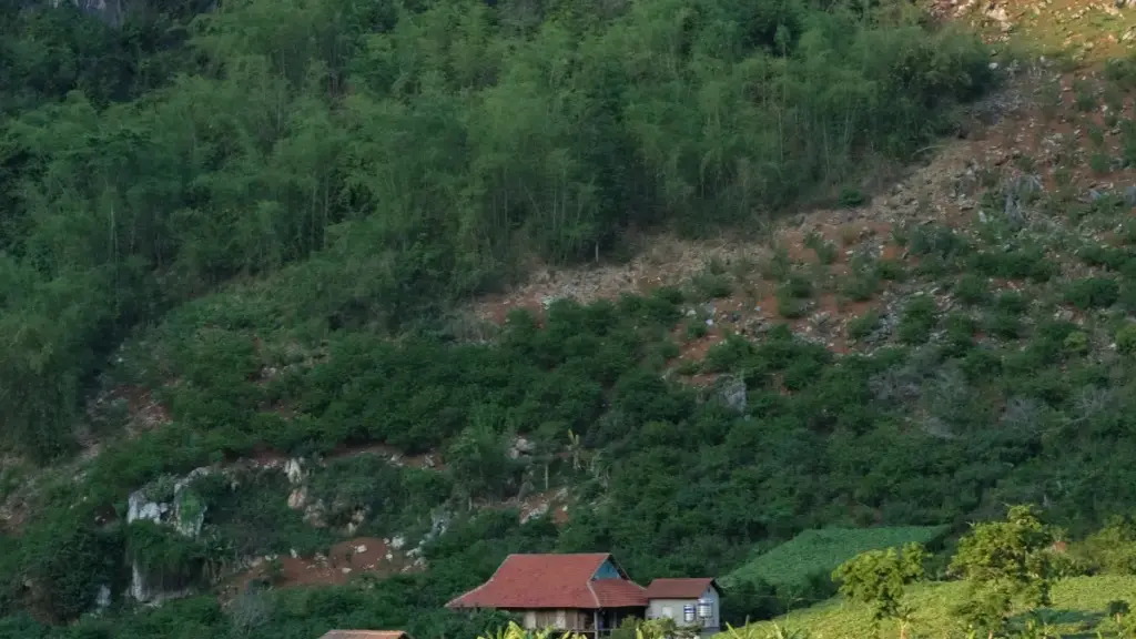 እንዴት በLithuania ያሉ Vkontakte ፈጣሪዎችን ለonline learning መድረክ ማስታወቂያ ማግኘት እና እርምጃ እቅዶች። ስርአት፣ ፕላትፎርም ልዩነቶች እና አስተያየት።