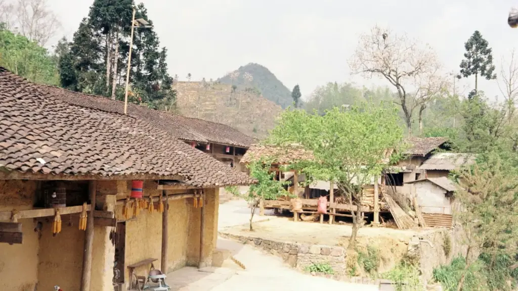 ኢትዮጵያዊ ማሸጊያዎች፣ እንዴት እንደሚፈለጉ እና ለመሽያጭ ማዕከላዊ የViber ፍጥረታማዎችን እንዴት ማግኘት እንደሚቻል ማብራሪያ፣ ስርዓቶች፣ ስህተቶች እና ማስጠንቀቂያዎች በአንድ ጥሩ መረጃ ይቀርባል።