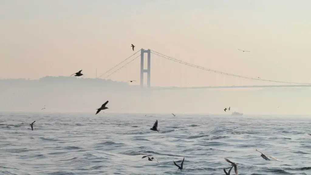 እንዴት እንደምታገኙ እና Oman ብራንዶችን Threads ላይ ለbefore‑and‑after ስራዎች እንዴት እንደምታስተዋውቁ — ስልት, ምርመራ, እና ማስተካከያ.