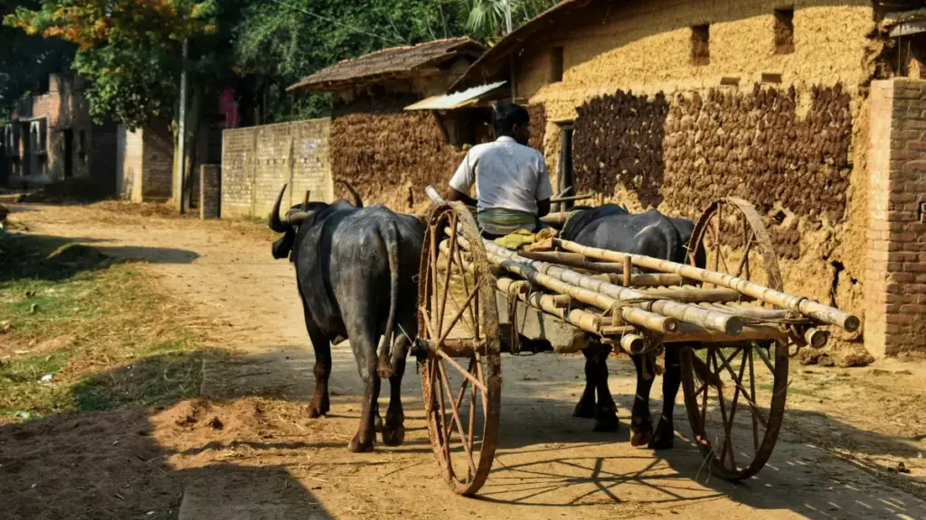 እ.ኤ.አ ፈጣን መመሪያ። LinkedIn እና ስዊድን ብራንዶችን ለUnboxing ቪዲዮ ለማግኘት የሚረዱ ስልቶች፣ ምርጫዎች እና ምክሮች።