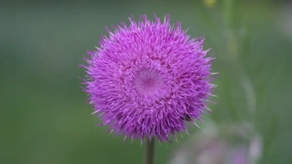 እንዴት ከሮማኒያ የXiaohongshu ፈለጋ ፈጣን እና ውጤታማ ማዕከላዊ ባለሙያዎችን ለምርት መስመር ማቀናበር እንደሚቻል፣ የ2025 የመጨረሻ አስተያየቶችና ስርዓታዊ ምክሮች።