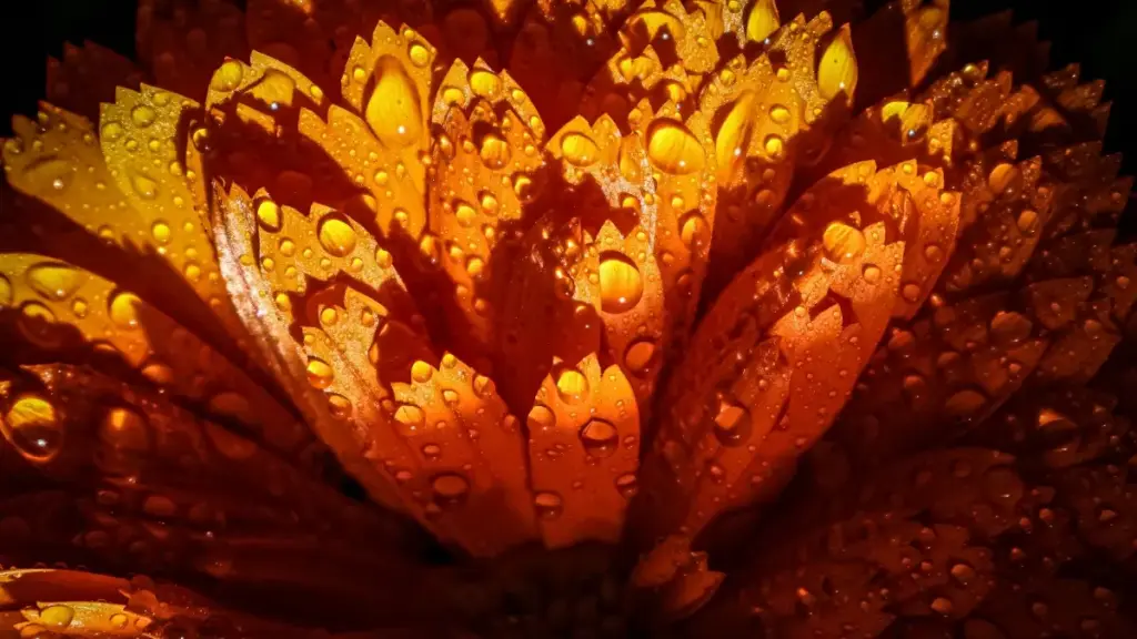 እንዴት የስዊዘርላንድ WeChat ክሪኤተሮችን ለቫይራል Unboxing ካምፓይኖች እንደምን እንረዳ፣ መንገዶች፣ ማስተካከያዎችና ስርዓቶች በአጭር ግምገማ።