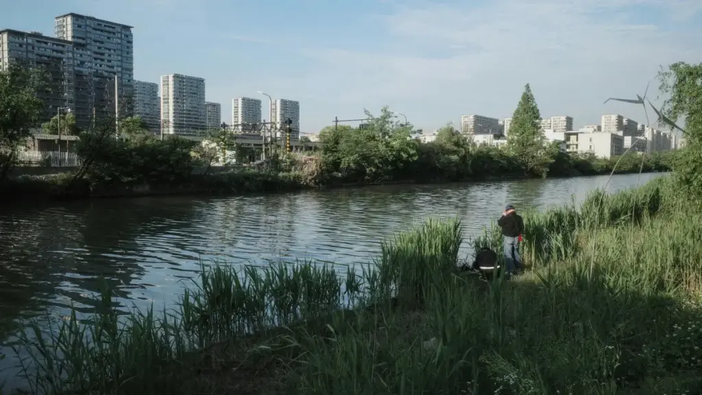 እባክህ እንዴት Iran ባሉ Roposo ፍለጋ ፈጣን UGC ክምችት እንደሚጀምሩ — ለEthiopia ማስታወቂያዎች ምክር፣ የምርጫ ስርዓቶች፣ እና ምርምር ሰርክስ መረጃዎች።