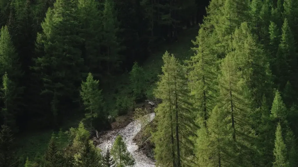 ለሞባይል ጨዋታ ላንቺ እና ለማስታወቂያ — ጃፓን ውስጥ የDisney+ ተፅዕኖ ያላቸው ክሪየተሮችን እንዴት እንወቅ፣ እንገናኛለን፣ እና እንቀርባለን በሚለው መረጃ፣ ስርዓቶችና ስምርና እርምጃዎች.