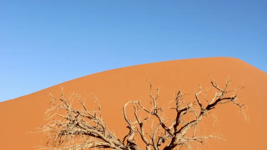 እንዴት ላኦስ ባለሞያ Taobao ክሪየተሮችን ለእንግሊዝና ዓለም ገበያዎች የምርት እውቀት ለማሳደግ እንደምንሠራ — ሕጋዊ ፈጣን እና ተግባራዊ ምክሮች።