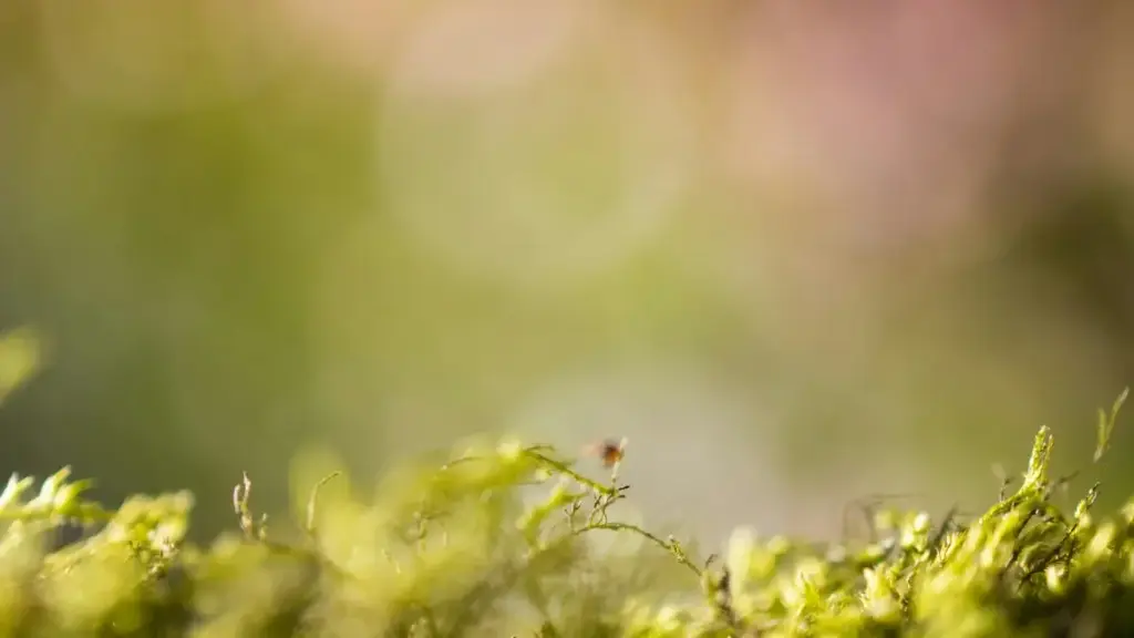 ኢትዮጵያ የሚሸጥ ምርቶች፣ የትናሽያ Takatak ፈጣን ፈለጎችን እንዴት እንደምንማግኘው፣ የፍጥነት ስርዓቶችና እርምጃዎች በቀላሉ።