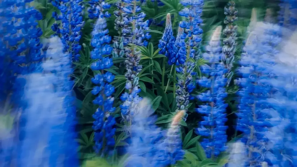 እንዴት የዩክሬን Chingari ፈጣሪዎችን ለየትኛውም የወቅታዊ ሽያጭ ዝግጅት እንደምንሰርዝ በአፈፃፀም የሚረዱ ምክሮች፣ ሰርግታዊ ስርዓቶች፣ እና ማስታወቂያ ስርዓት ዝርዝሮች።