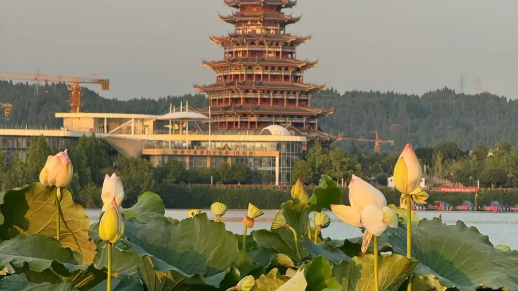 እንዴት የኒውዚላንድ Telegram ፈጣሪዎችን ማግኘር፣ እንዲሁም ማህበራዊ እድል እንዴት እንደሚጨምር የሚገልጽ አርታኢ።