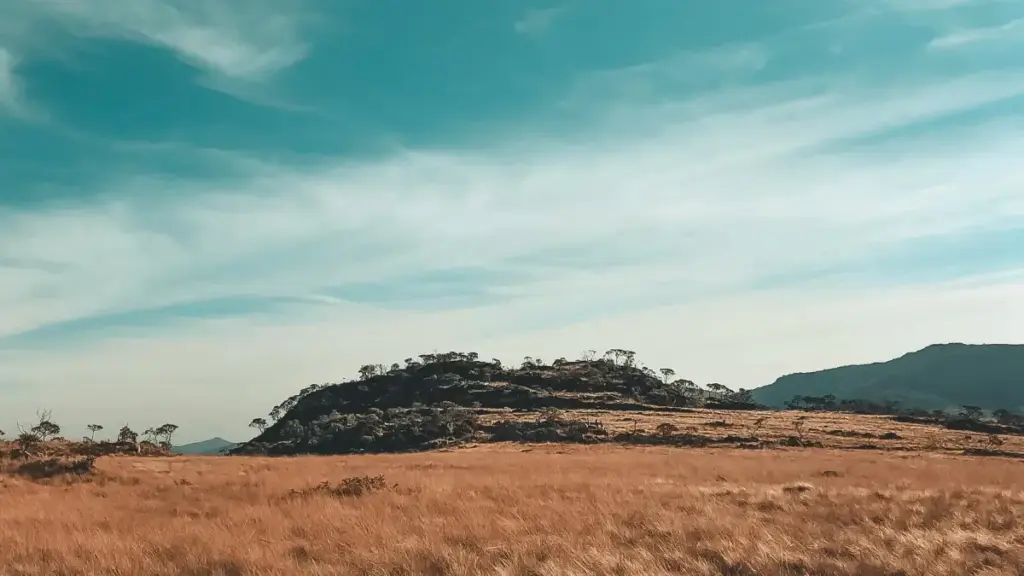 ከBangladesh ብራንዶች ጋር Josh ላይ ለልዩ ምርት ባንዶች የሚፈልጉ ኢትዮጵያ ክሪየተሮች። ስራዎን እንዴት ማቅረብ፣ ለስርዓታዊ እና ልዩ እቃ ግንኙነት መንገዶች፣ እና ምክር ዝርዝር።