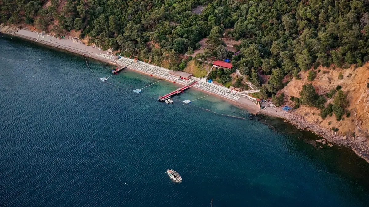 እንዴት በReddit ላይ ለCroatia 브ራንድ እየደረሰን እንደማንኛው እድል እንረዳ?