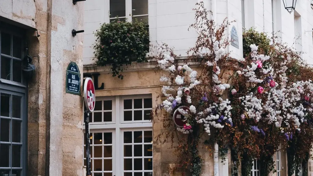 እንዴት እንደ Viber ላይ ከMalta የውበት እና የስኪንኬር ብራንዶች ጋር ለምርመራ ማግኘት፣ አስፈላጊ ስራዎችና አካላዊ ምክሮች በአማርኛ።