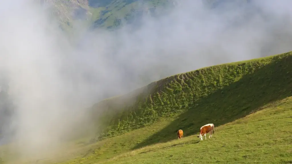 እንዴት የታንዛኒያ መለያ (Line) ፈጠራዎችን እናገናኝ ለኮ-ብራንድ ምርት እንዲወጡ፣ ምርጥ መንገዶች፣ ስርዓቶች እና ምርመራዎች — ለኢትዮጵያ ማስታወቂያዎች በአስተዋፅኦ ቋንቋ.